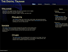 Tablet Screenshot of digitaltsunami.net